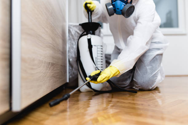 Best Local Pest Control Services  in Rainbow Lakes Estates, FL