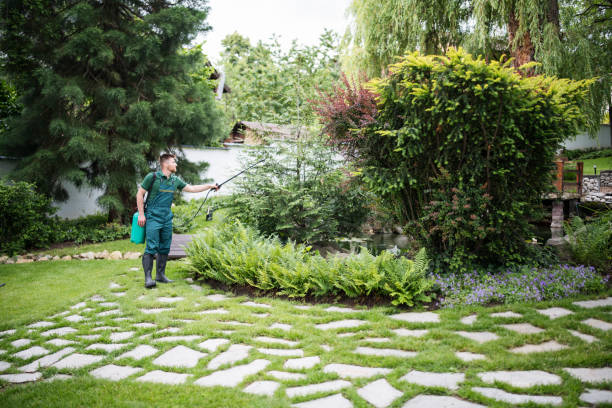 Best Pest Prevention Services  in Rainbow Lakes Estates, FL