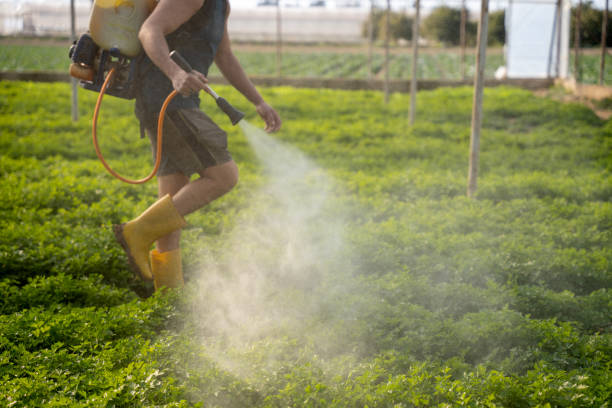 Trusted Rainbow Lakes Estates, FL Pest Control Experts