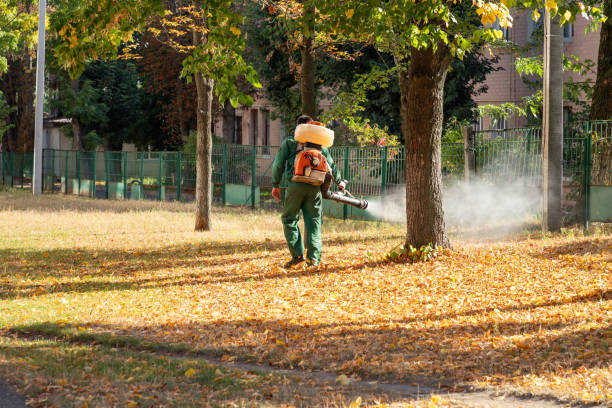 Best Affordable Pest Control Services  in Rainbow Lakes Estates, FL