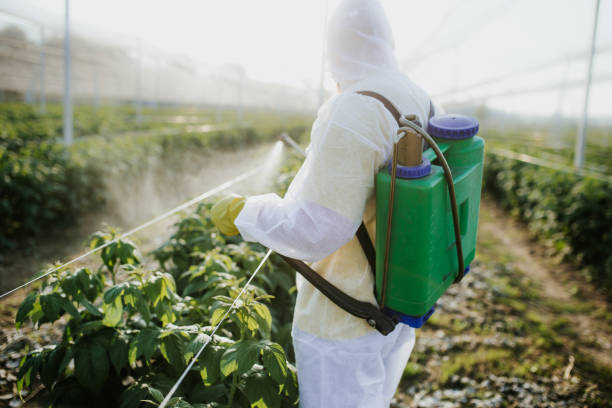 Best Pest Control Near Me  in Rainbow Lakes Estates, FL